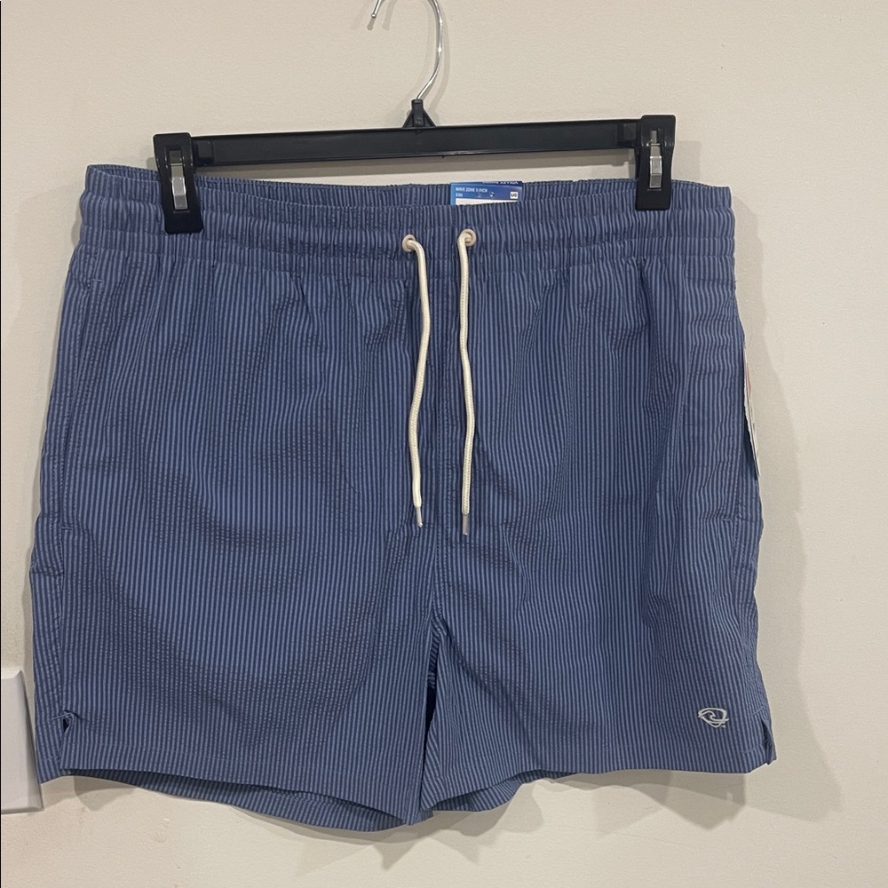 Men's Blue Striped Swim Trunks